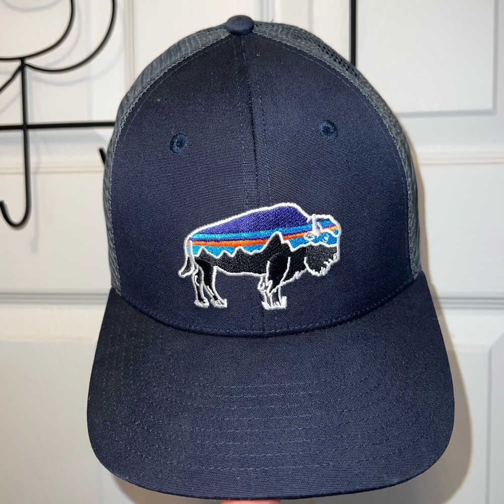 Patagonia Blue Fitz Roy Bison Trucker Hat